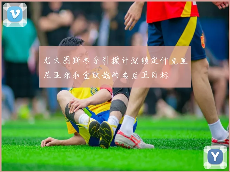 尤文图斯冬季引援计划锁定什克里尼亚尔和金玟哉两名后卫目标