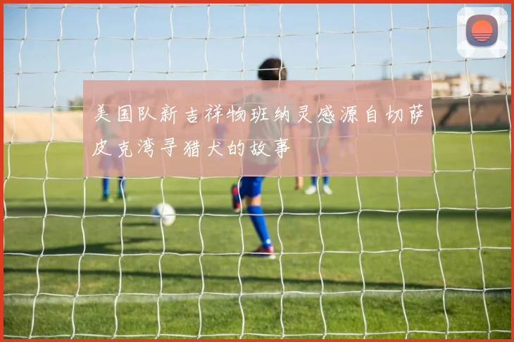 美国队新吉祥物班纳灵感源自切萨皮克湾寻猎犬的故事