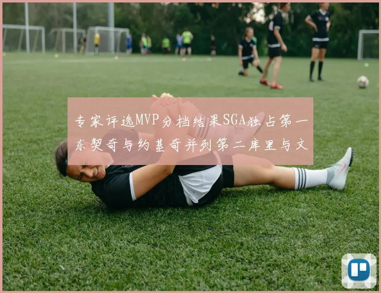 专家评选MVP分档结果SGA独占第一东契奇与约基奇并列第二库里与文班位列第四