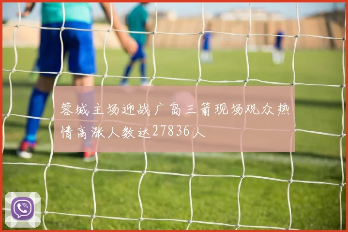 蓉城主场迎战广岛三箭现场观众热情高涨人数达27836人