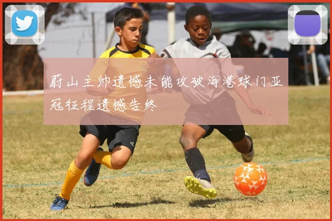 蔚山主帅遗憾未能攻破海港球门亚冠征程遗憾告终