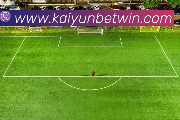 开云体育平台生态图